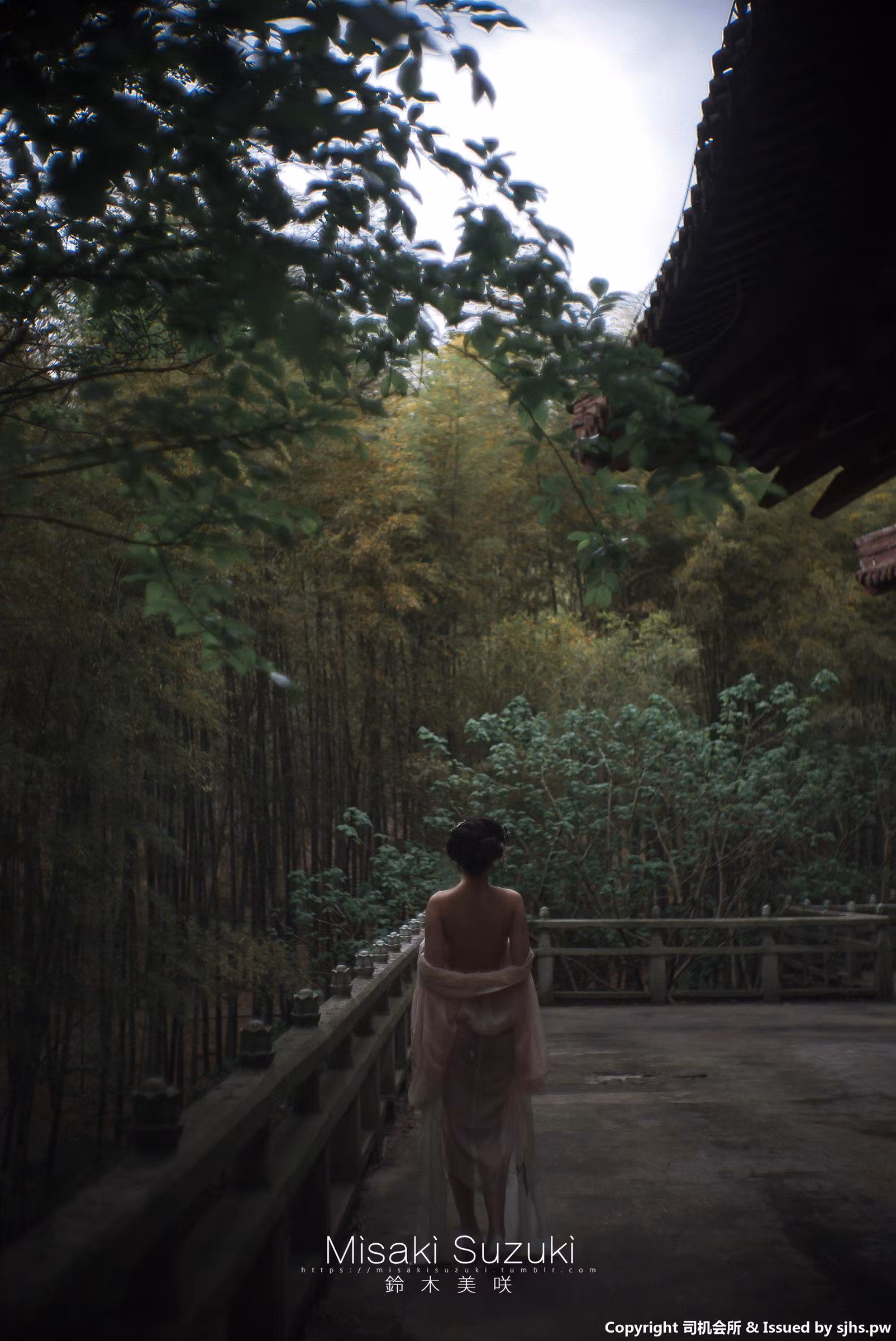 露穴漏点福利系列之极致全裸私房露出美臀曲线